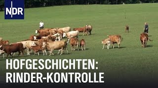 Hofgeschichten RinderKontrolle auf dem Sophienhof  Die Nordreportage  NDR Doku [upl. by Korten]