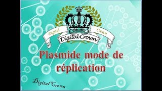 Plasmide mode de réplication [upl. by Ludvig]