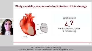 A Sutureless Patch Platform for Modulation of Biomechanics in the Acutely Infarcted Heart [upl. by Atiuqaj589]