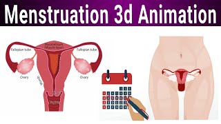 Menstruation 3D Animation  Causes cycle Symptoms and Treatment Options Mujahidmedicalknowledge [upl. by Caasi]