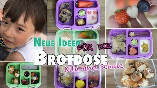 Brotdosen für Kita und Schule  Neue einfache Rezepte und Ideen  mamiblock [upl. by Haneekas281]