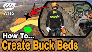 How to Build Buck Bedding Areas [upl. by Odetta962]