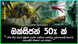 වායුගෝලයේ ඔක්සිජන් 50 තිබුනොත්  If Oxygen Percentage Reached 50 education srilanka trending [upl. by Herrah]