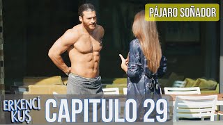 Pájaro soñador  Capitulo 29 Audio Español  Erkenci Kuş [upl. by Velma142]