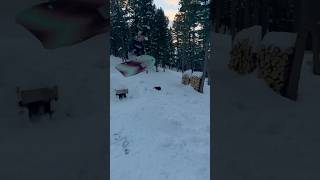 We built a sledding hill with some mtb jumps mtb winter [upl. by Etteuqal]