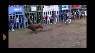 Salida del segundo toro de arcadio albarran en Almazora imágenes almazora tv el día 101024 [upl. by Aicila71]