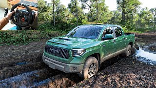 Toyota Tundra TRD Pro  Mud Offroading  Forza Horizon 5  Steering Wheel Gameplay [upl. by Golden]