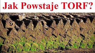 Jak Powstaje TORF [upl. by Drawoh]