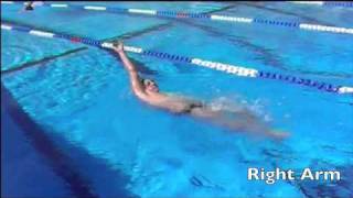 Hannants Backstroke Drill  Single Arm Back [upl. by Nlocnil]