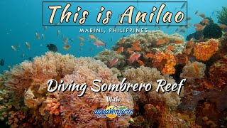 This is Anilao  Diving Sombrero Island Reef [upl. by Jerrol309]