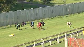 Capalaba22092024Race12 [upl. by Nohj]