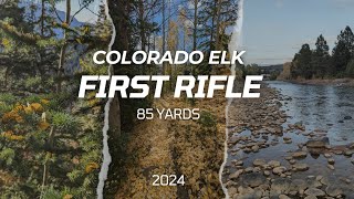 CO 1st rifle elk success at 85 yards [upl. by Ainnat532]