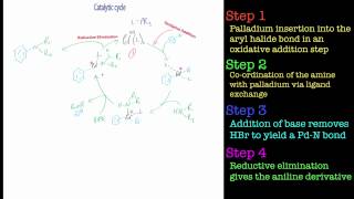 The BuchwaldHartwig Amination Reaction [upl. by Akimet]