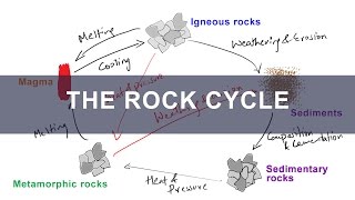 Rock Cycle  Formation of Igneous Metamorphic Sedimentary Rocks  Geology [upl. by Suzetta]