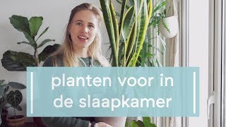 Slaapkamer planten [upl. by Aliuqet]