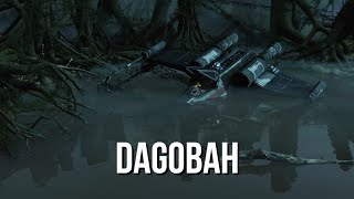 Star Wars Ambience  Dagobah wildlife relaxing nature white noise [upl. by Htennaj]