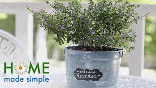 Make Your Own French Container Garden  Home Made Simple  Oprah Winfrey Network [upl. by Coray]