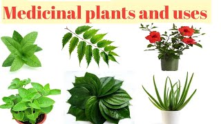 Medicinal plants and usesBenefits of medicinal plants [upl. by Onitselec989]