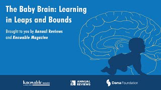 The baby brain Learning in leaps and bounds [upl. by Laniger]