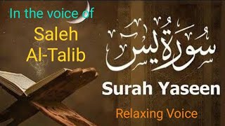 Surah Yasin Yaseen  Voice of Saleh AlTalib  سورہ یسین [upl. by Maller202]