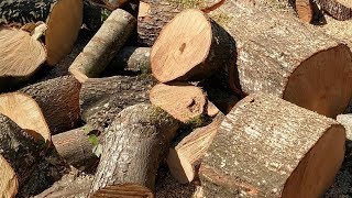 Woodturning For Beginners 2 Preparing And Drying Wood  Carl Jacobson [upl. by Cassell]