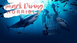 AUSTRALIE VLOG 3  Plongée avec les REQUINS  HORRIBLE [upl. by Jyoti723]