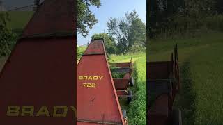 Farmall 656 and a Brady chopper chopping fresh grass for the cows ih farming farmall cows [upl. by Macdougall296]