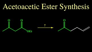 Acetoacetic Ester Synthesis [upl. by Enoved]