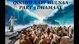 Qisadii Nabi Muusaa Part 3 DhamaatFILM TARJUN AH [upl. by Worrell742]