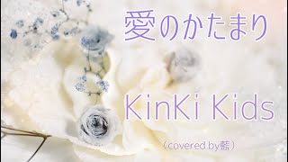 KinKi Kidsさん「愛のかたまり」歌ってみた（covered by 藍 [upl. by Eissat]