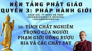 PHẦN 10  SÁCH NÓI PHÁP HÀNH GIỚI  TỲ KHƯU HỘ PHÁP  PHẬT GIÁO NGUYÊN THỦY THERAVADA [upl. by Fidole]