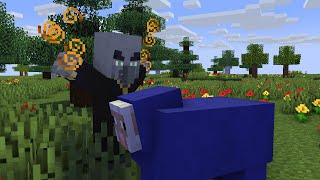 Minecraft Evoker wololo  minecraft animation [upl. by Gorman511]