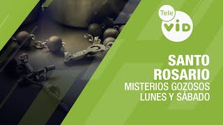 Santo Rosario 📿 Misterios Gozosos  Lunes y Sábado Tele VID SantoRosario TeleVID [upl. by Gloria]