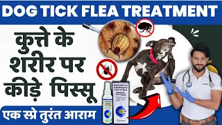 कुत्ते के पिस्सू जूँ मारने का घरेलु कारगर ईलाज  Tick And Flea Treatment for Dogs and Cats In Hindi [upl. by Noby165]