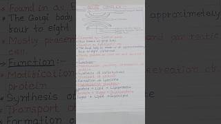 Golgi Apparatus Diagram  Golgi Apparatus Structure And Function [upl. by Aynekat]