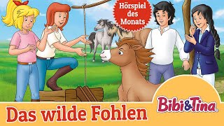 Bibi amp Tina  Das wilde Fohlen Folge 93  Hörspiel des Monats SEPTEMBER 2024 [upl. by Harat]