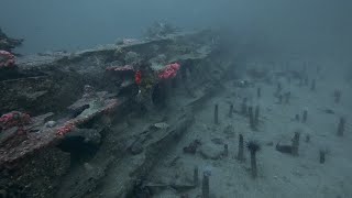 Dive the barge wreck metridium field middle reef and breakwater wall Monterey CA [upl. by Alwitt]