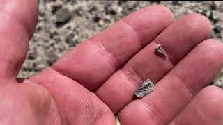 Rocks and Sediments Hunting for Microfossils in Waurika Oklahoma [upl. by Coates248]