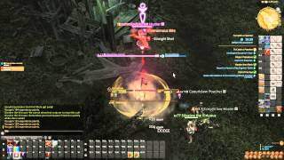 FFXIV A Realm Reborn  Duty To Catch A Predator [upl. by Evante995]