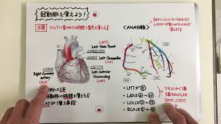 【ゆる〜い講義ビデオ】冠動脈を覚えよう① [upl. by Sanfred]