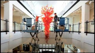 Chihuly Installation [upl. by Home]