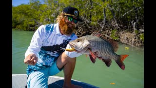 Catching Mangrove Jack and Threadfin on Lures in one of Mackay’s Mangrove Lined Creeks [upl. by Attalanta]