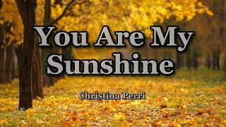 Christina Perri  You Are My Sunshine Lyrics [upl. by Aklog895]