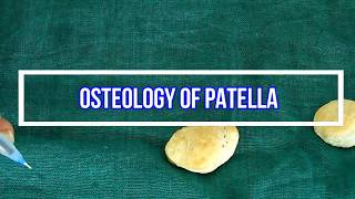 Osteology Of Patella [upl. by Estella]