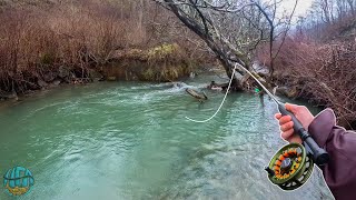 My First 20 Inch Trout of the YEAR Streamer Fly Fishing for Brown Trout [upl. by Airogerg]