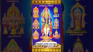 arupadai veeduMurugan temples6th day Kanda sashti vilaOm Saravana Bhava [upl. by Ynes]