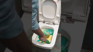 Live Demo of Dayjoys Revolutionary Toilet Cleaner [upl. by Gapin]