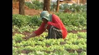 Sustentabilidade na Agricultura [upl. by Nileuqcaj583]