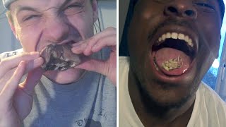 TGF vs BUSH TUCKER TRIAL PIGS BRAINS [upl. by Alli100]