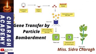 Gene Transfer by Particle Bombardment ✍✍ [upl. by Mellar173]